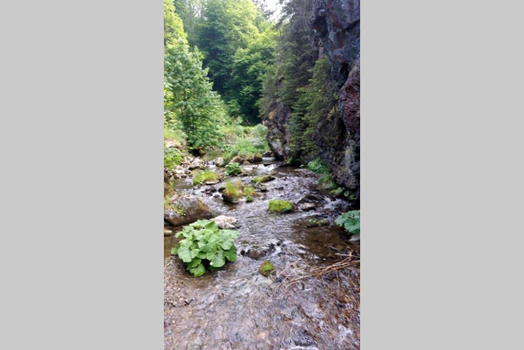 Landhaus Haid Presseck Bagian luar foto